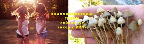 дмт Баксан