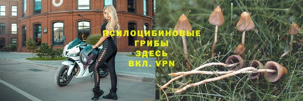 скорость Балахна
