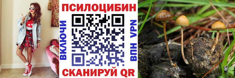наркота  Лениногорск  kraken зеркало  Галлюциногенные грибы MAGIC MUSHROOMS 